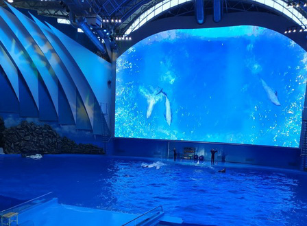 1 океан.png 1 океан.png